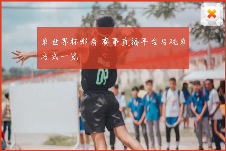 看世界杯哪看 赛事直播平台与观看方式一览