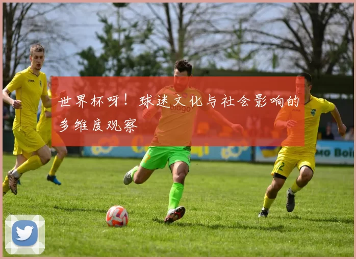 世界杯呀！球迷文化与社会影响的多维度观察