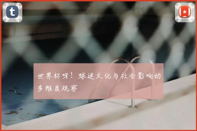 世界杯呀！球迷文化与社会影响的多维度观察