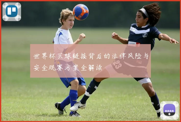 世界杯买球链接背后的法律风险与安全观赛方案全解读