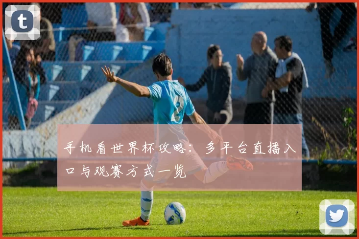 手机看世界杯攻略：多平台直播入口与观赛方式一览