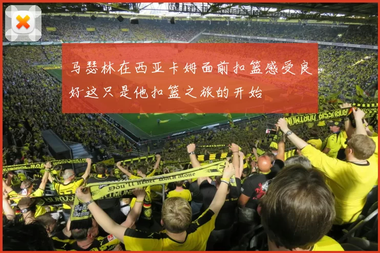 马瑟林在西亚卡姆面前扣篮感受良好这只是他扣篮之旅的开始