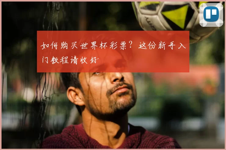 如何购买世界杯彩票?这份新手入门教程请收好