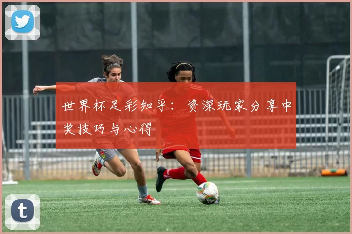 世界杯足彩知乎：资深玩家分享中奖技巧与心得