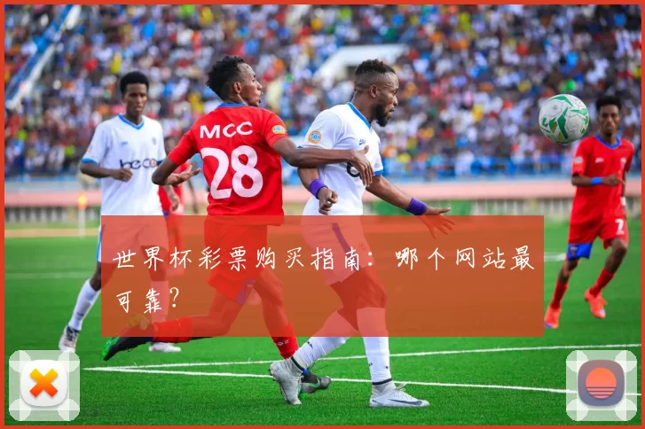 世界杯彩票购买指南：哪个网站最可靠？