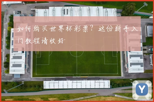 如何购买世界杯彩票？这份新手入门教程请收好