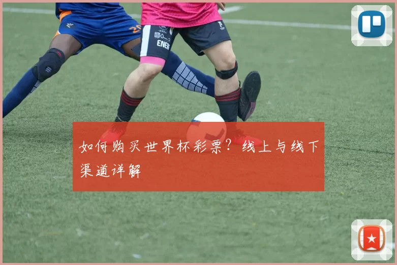 如何购买世界杯彩票？线上与线下渠道详解