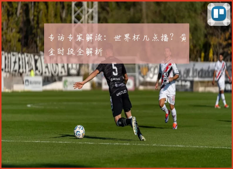 专访专家解读：世界杯几点播？黄金时段全解析