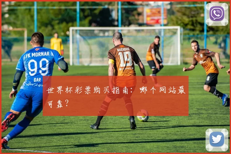 世界杯彩票购买指南:哪个网站最可靠?