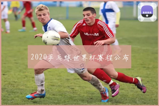 2020乒乓球世界杯赛程公布